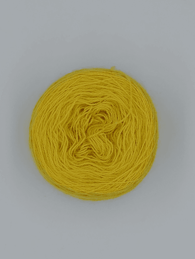 Laine 20/2 gaude foncer 