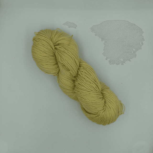 BB mérinos  ( gaude )
